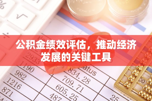 青原公积金绩效评估，推动经济发展的关键工具