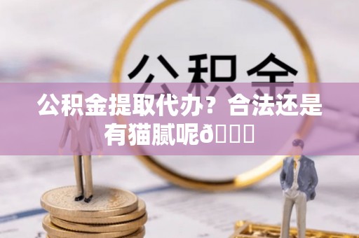 青原公积金提取代办？合法还是有猫腻呢😏
