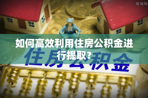 青原如何高效利用住房公积金进行提取？