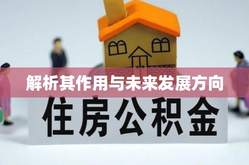 青原解析其作用与未来发展方向