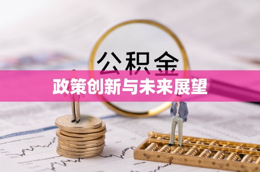青原政策创新与未来展望
